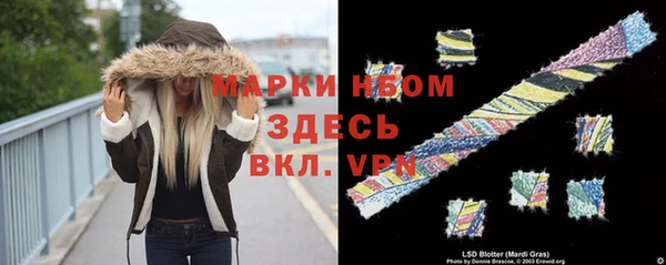 спиды Инта