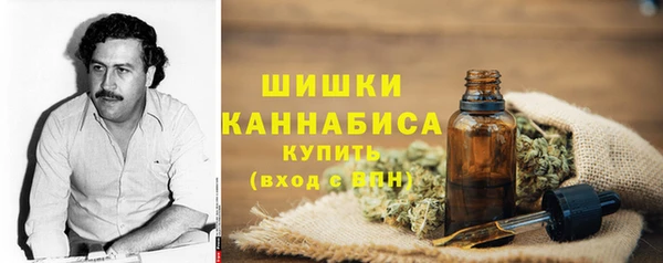 мяу мяу мука Иннополис