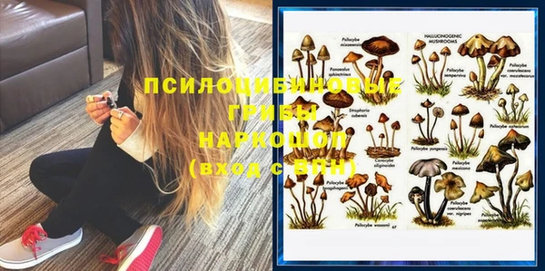 спиды Инта