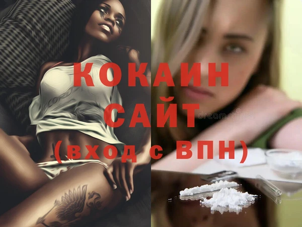 спиды Инта