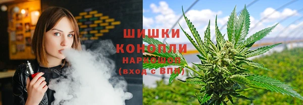 спиды Инта