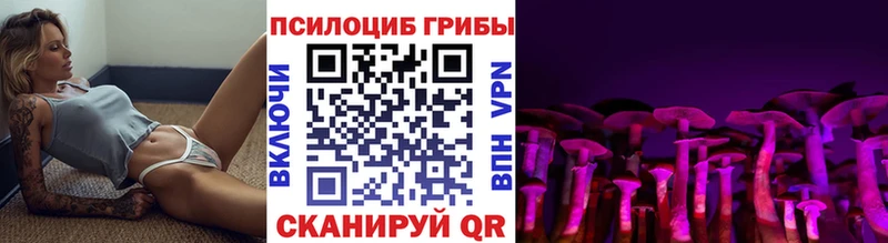 Псилоцибиновые грибы прущие грибы  Купить  Лахденпохья 